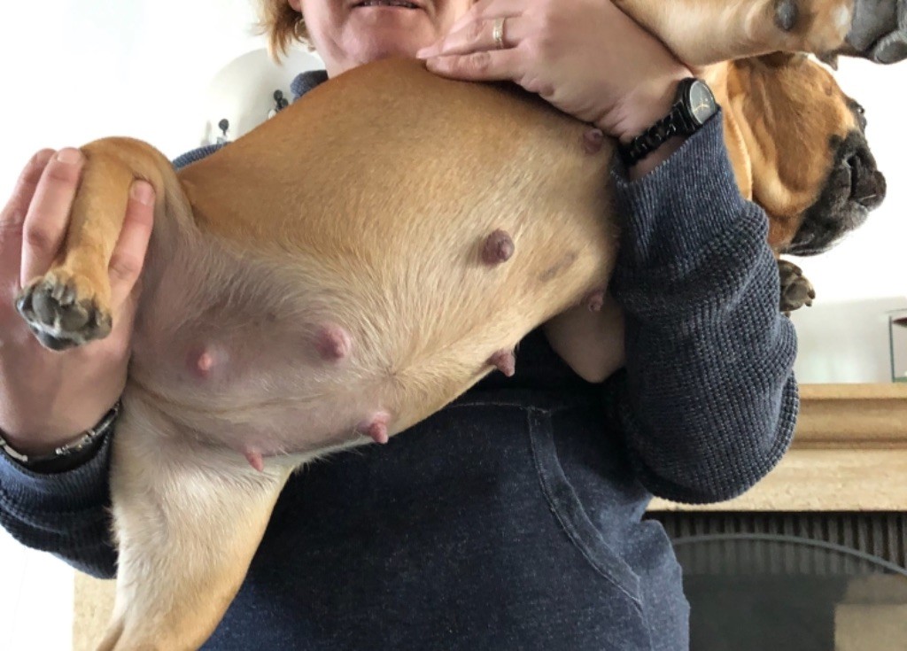 LILI JET est c’est bébés